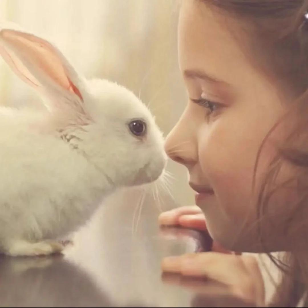 【 嫚家-纱罗妈妈装-爸爸装】家居服套装