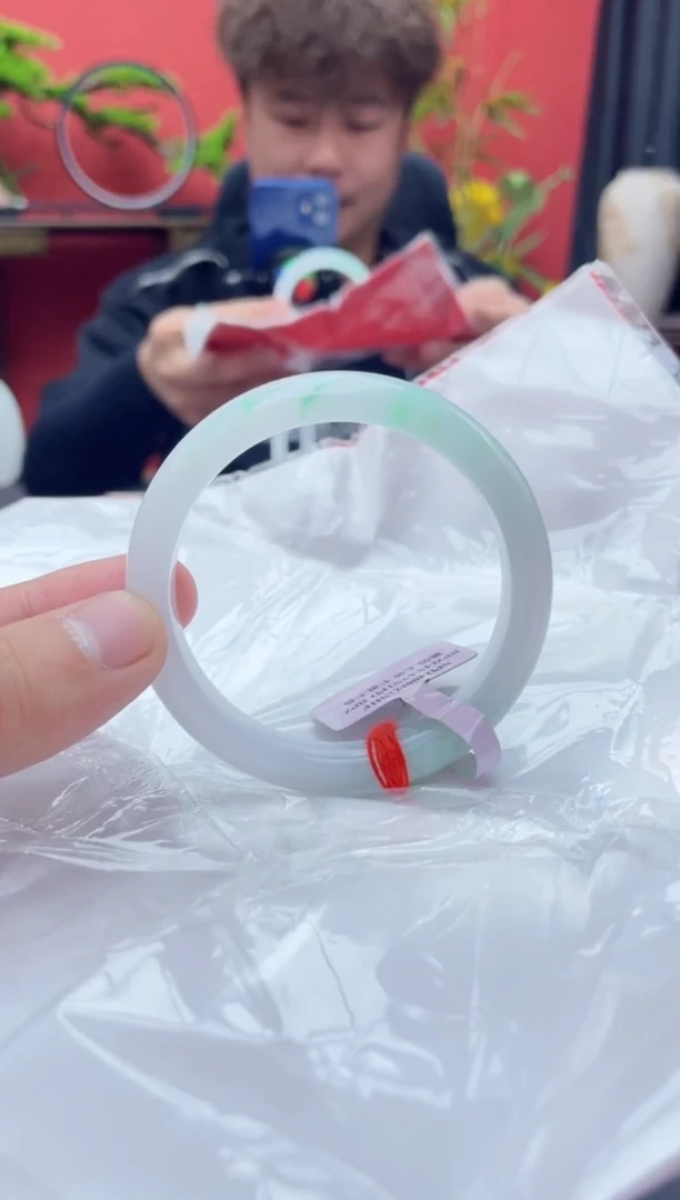 未镶嵌手镯翡翠4