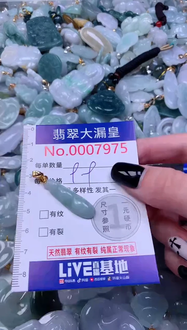 颈饰未镶嵌翡翠7975