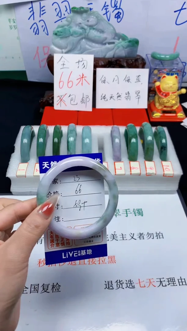 未镶嵌手镯翡翠23