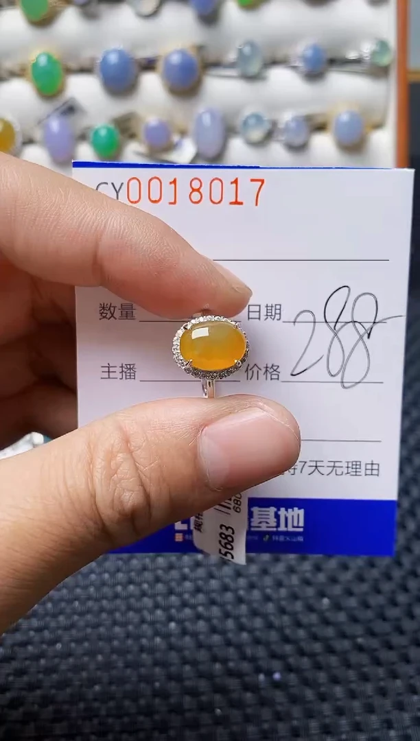 颈饰银S925镶嵌翡翠8017