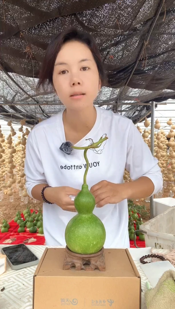 091天然葫芦摆件 一物一拍龙头不保售后