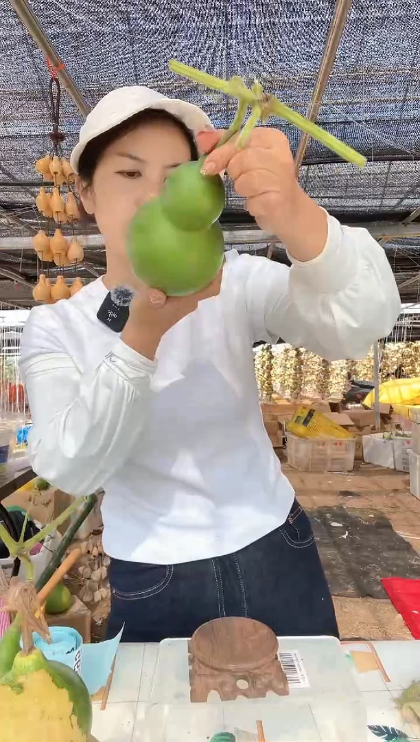695天然葫芦摆件 一物一拍龙头不保售后