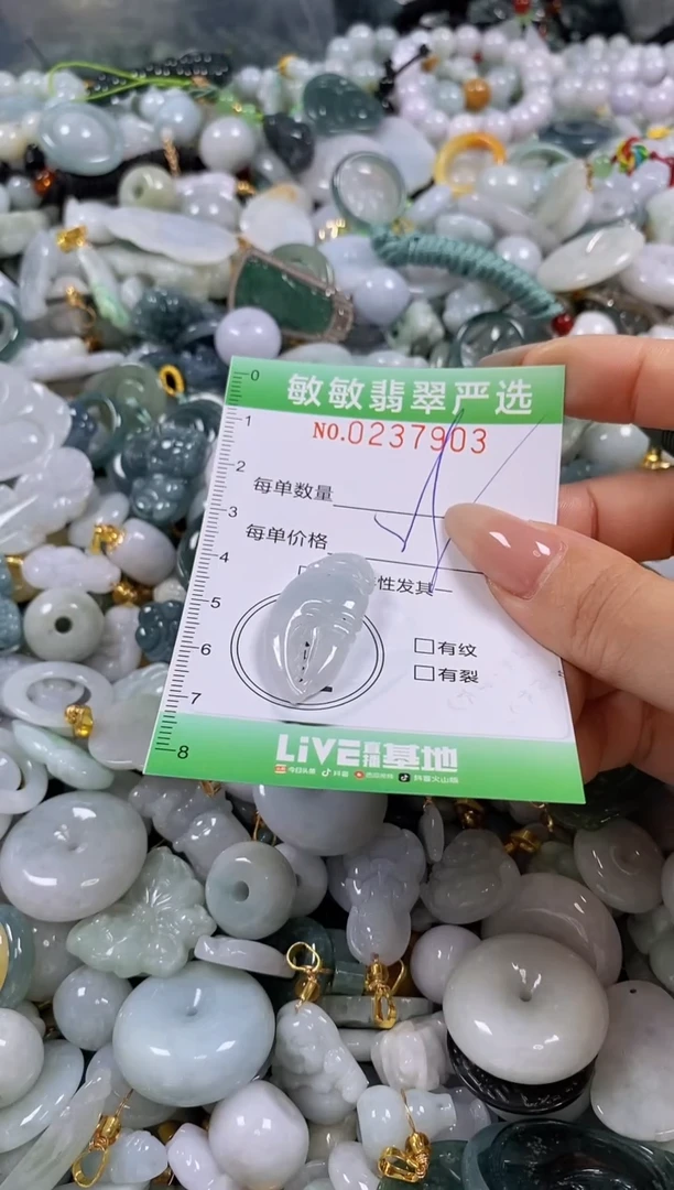 翡翠未镶嵌颈饰闪购0237903