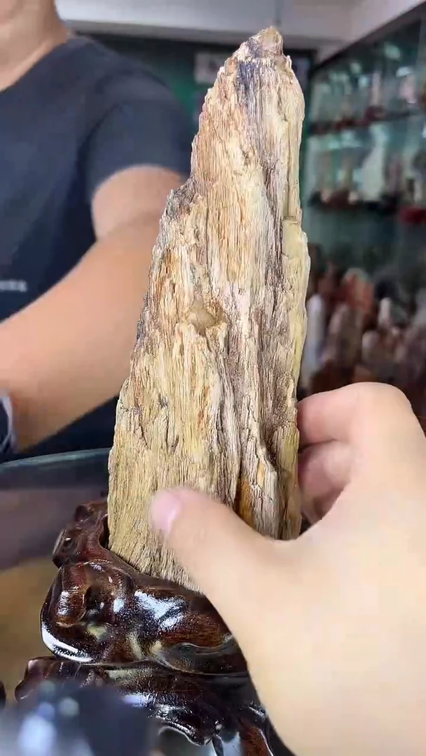 缅甸天然树化玉摆件