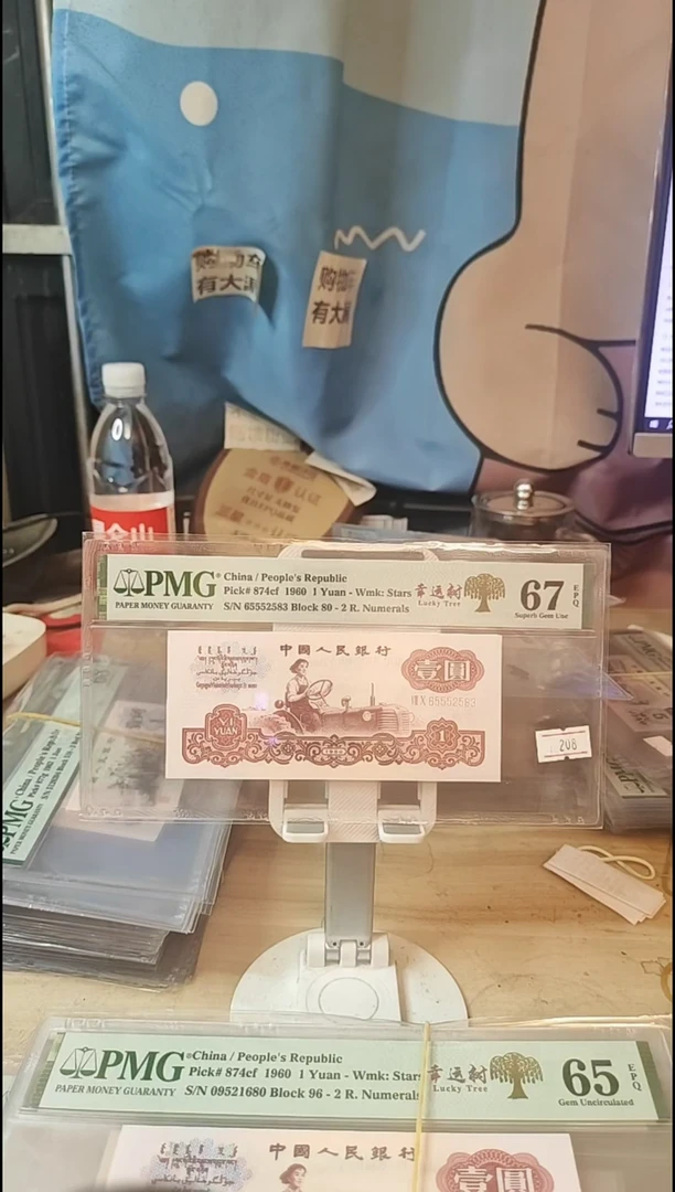 幸运树67分65552583！！！！
