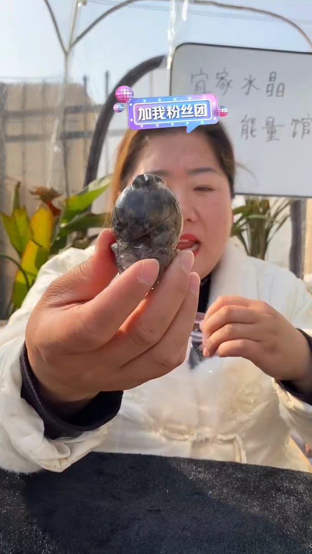 【闪购商品】水晶龙龟未镶嵌极光23龙龟DD334