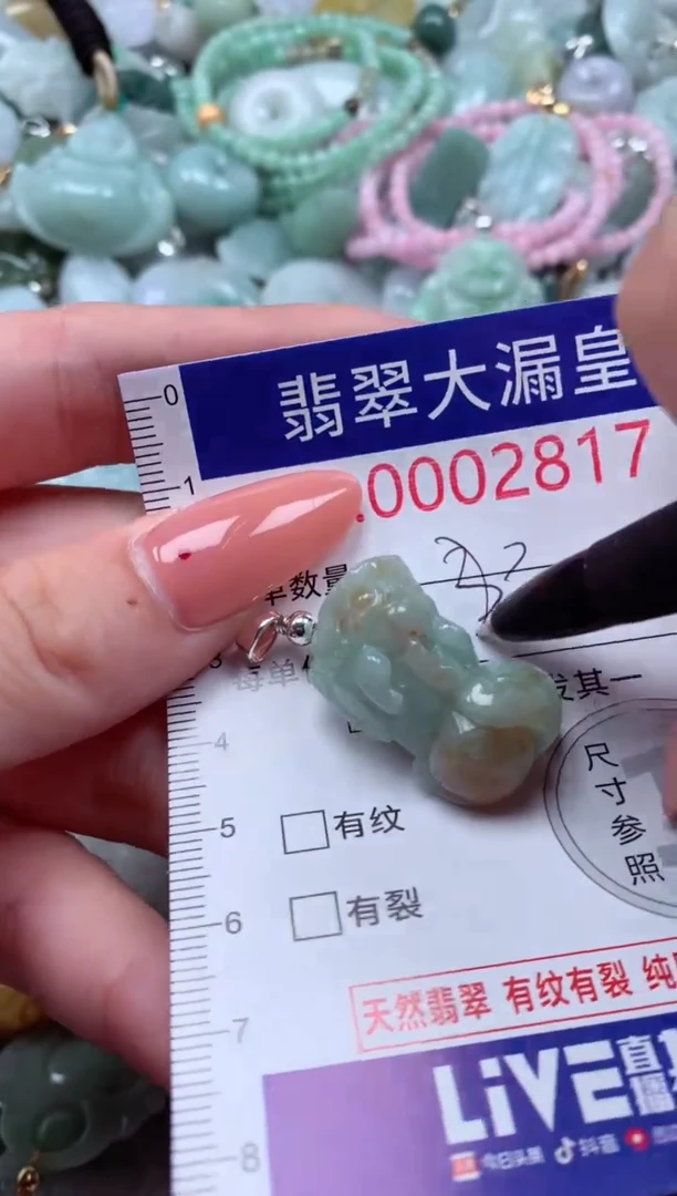 翡翠未镶嵌吊坠(不含链)817
