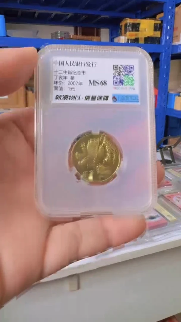 其他普通金属一轮生肖猪纪念币