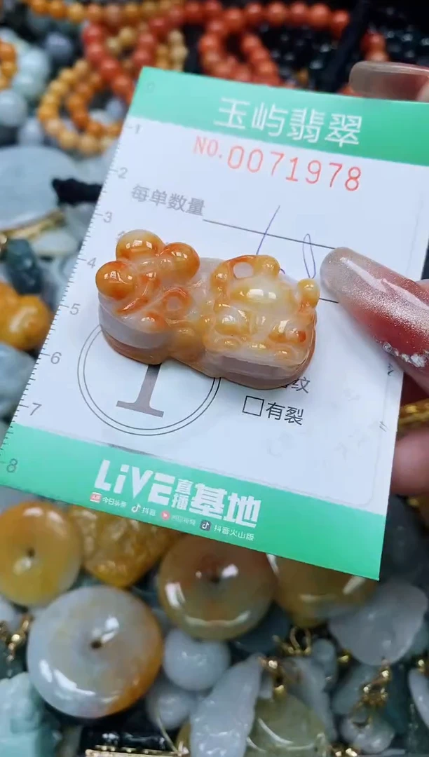 【闪购商品】翡翠颈饰未镶嵌闪购0071978