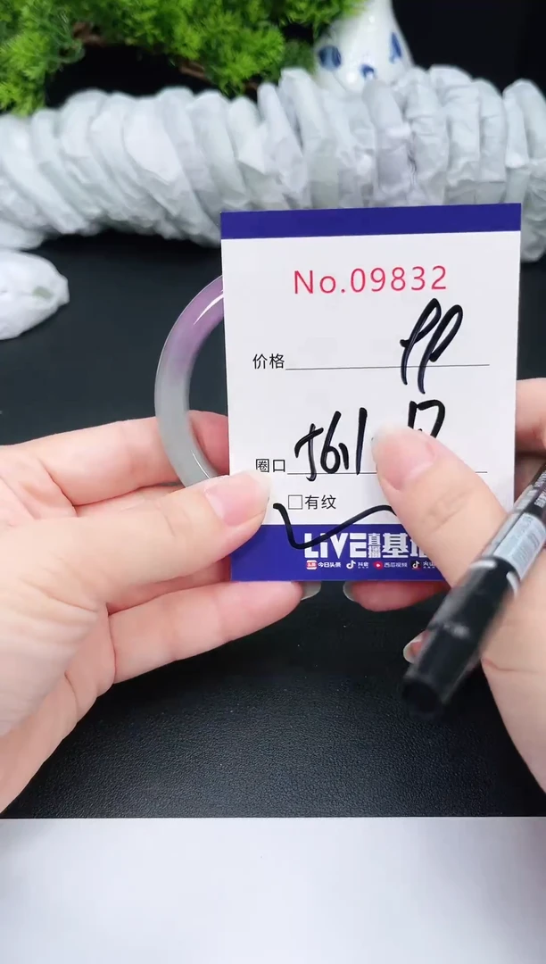 未镶嵌手镯翡翠9832