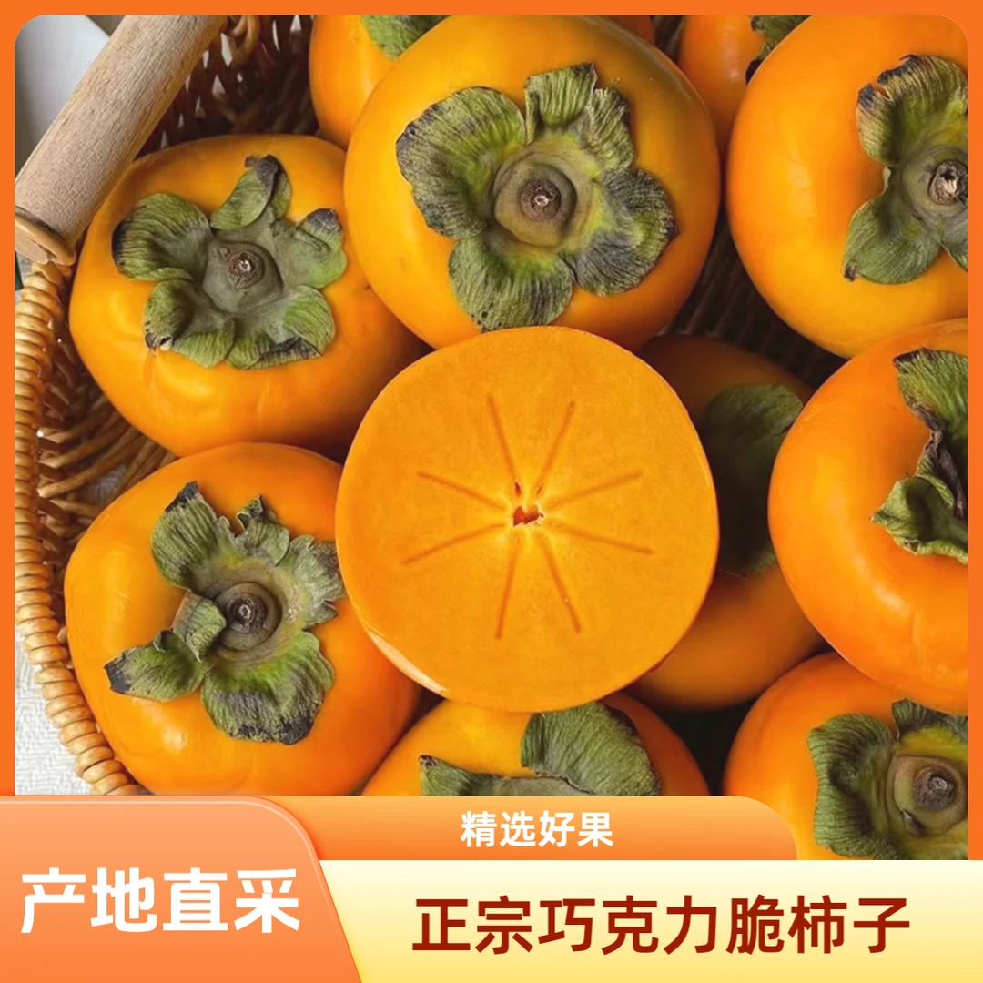 2025年【正宗巧克力脆柿】山西阳丰甜脆柿子香甜新鲜采摘果园直采