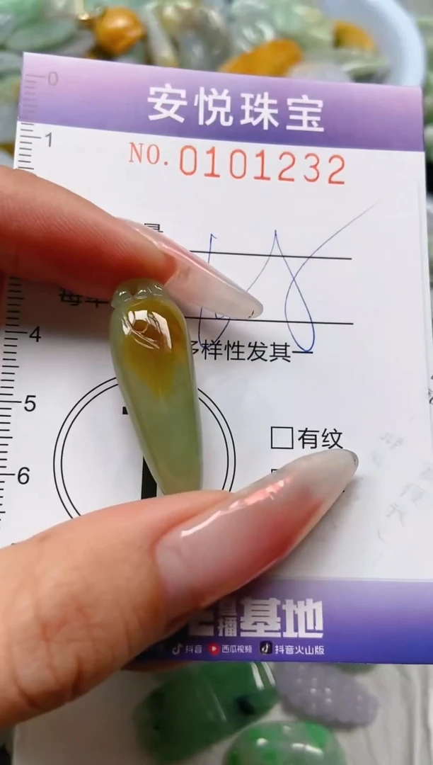 【闪购商品】翡翠颈饰未镶嵌闪购0101232