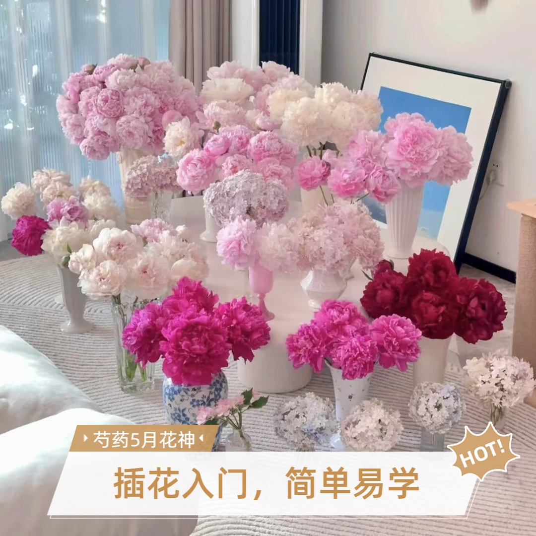 【现货】A+级山东芍药鲜花鲜切花花束插花基地直发大花苞牡丹