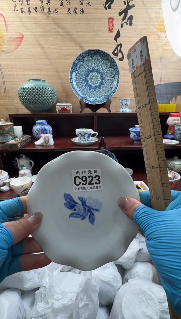 瓷片          C923