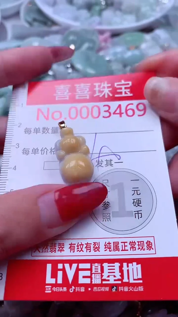 颈饰未镶嵌翡翠3469