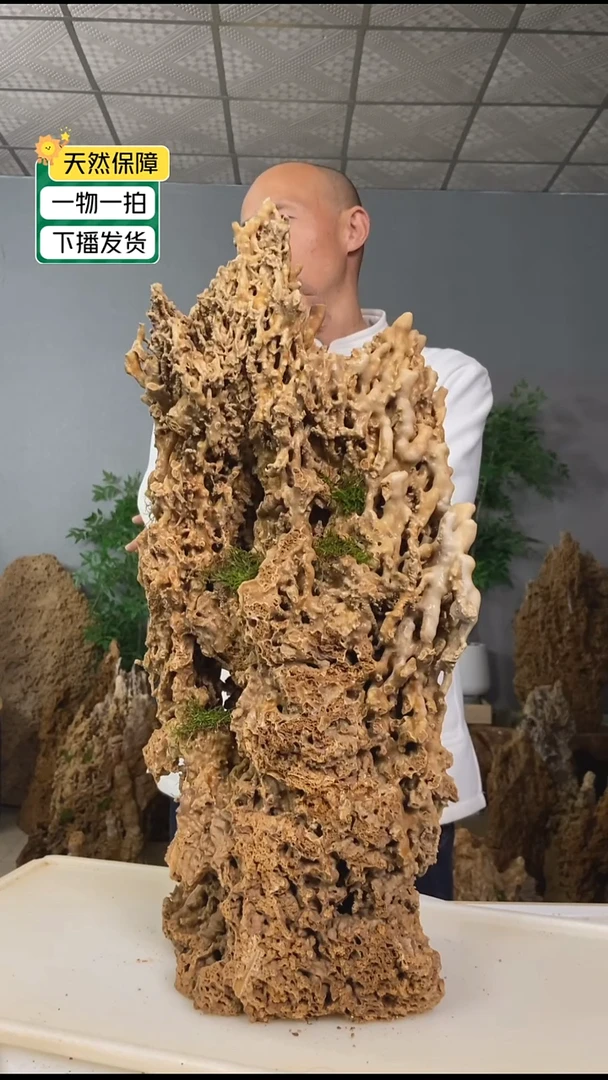 无花朵户*吸水石111111