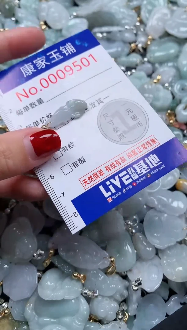 翡翠未镶嵌吊坠(不含链)9501