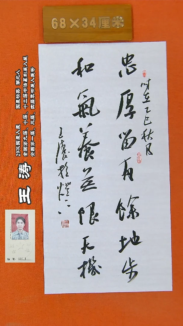 书法58王涛书法作品