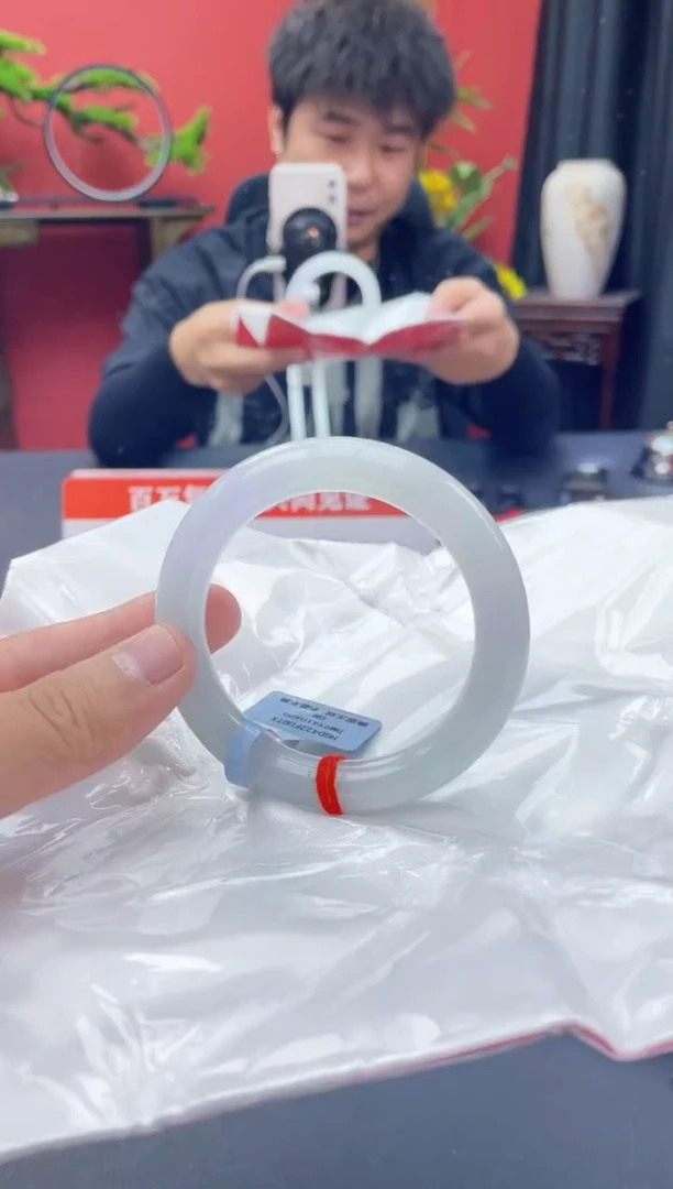 未镶嵌手镯翡翠14