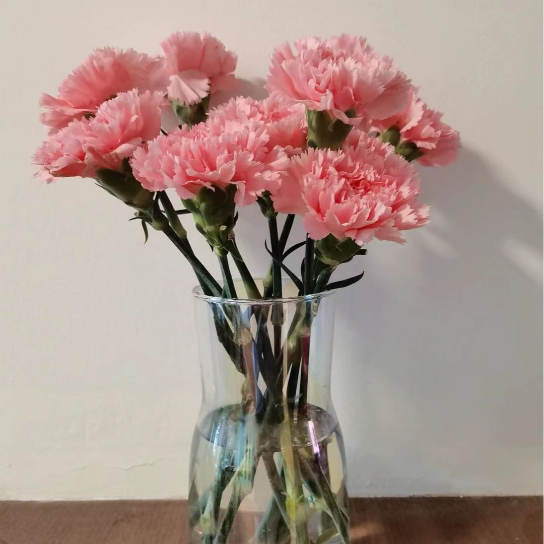 【粉色康乃馨玫瑰组合】