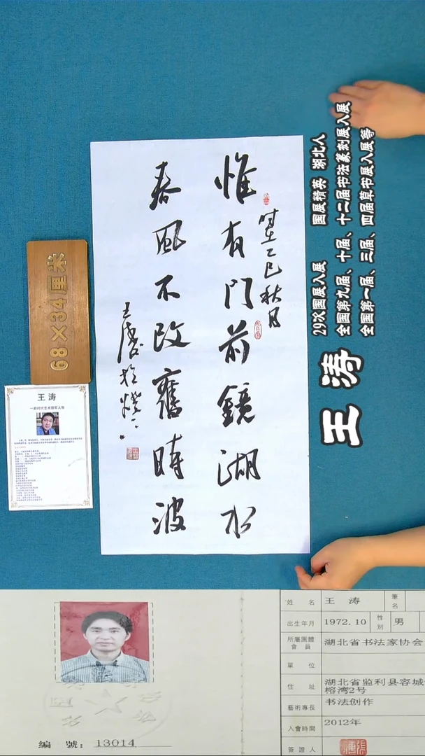 书法29R王涛书法作品