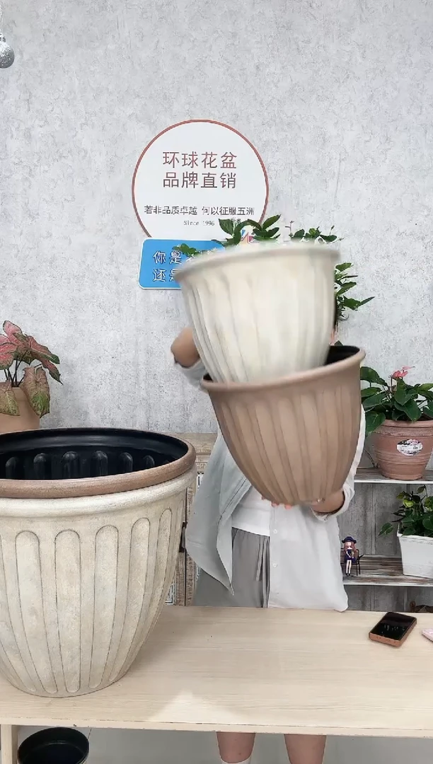 四*14.5寸瓦尔纳 混色 2只装 多打孔 带托