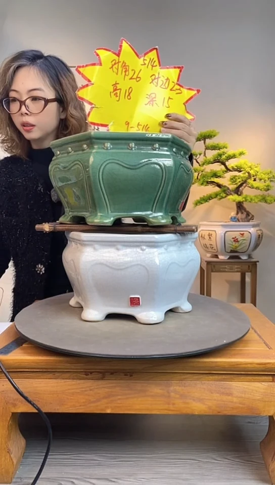 【闪购商品】陶瓷514一个白色一个绿色