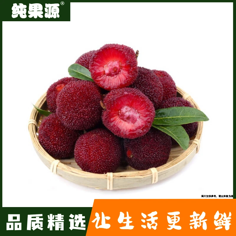 【纯果源小时达】杨梅【1斤装/2斤装】