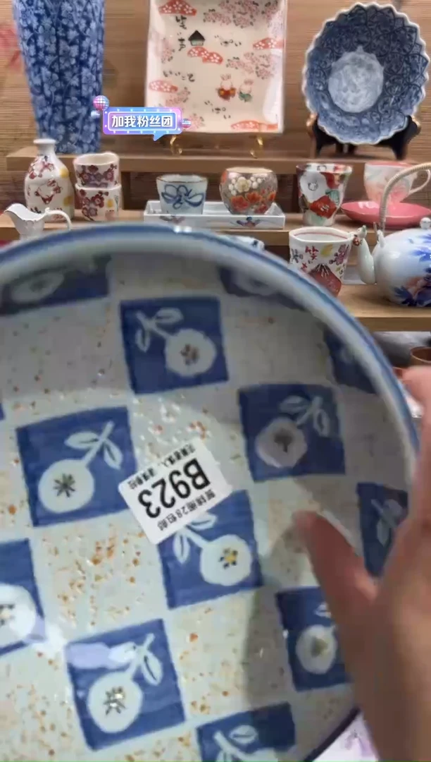 瓷片L****?      B923