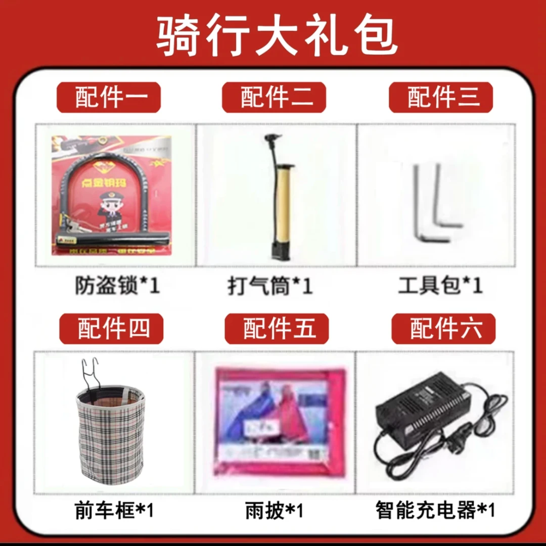 【拍车就送骑行大礼包】（无需多拍）车筐充电器打气筒车锁雨衣工具