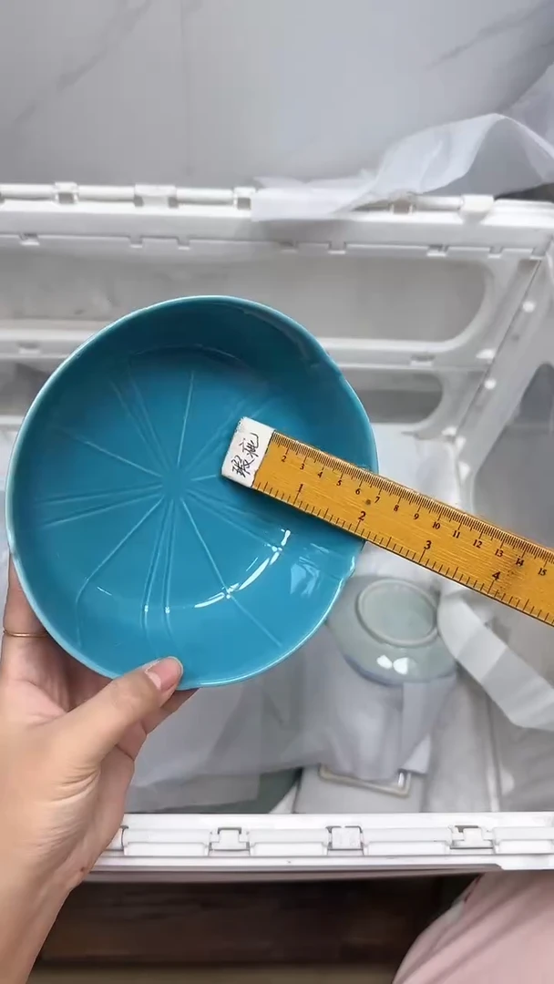 【闪购商品】2113回流瓷器默认微瑕，18.8包邮