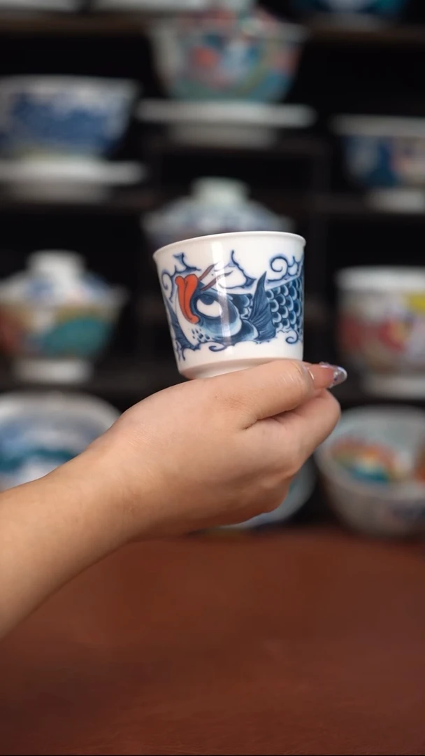 昨明龙鱼主人杯（宠粉福利）