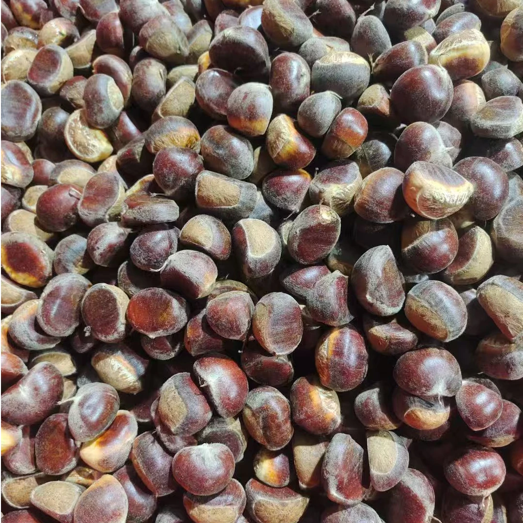 河南灵宝大秦岭山里的野生毛栗