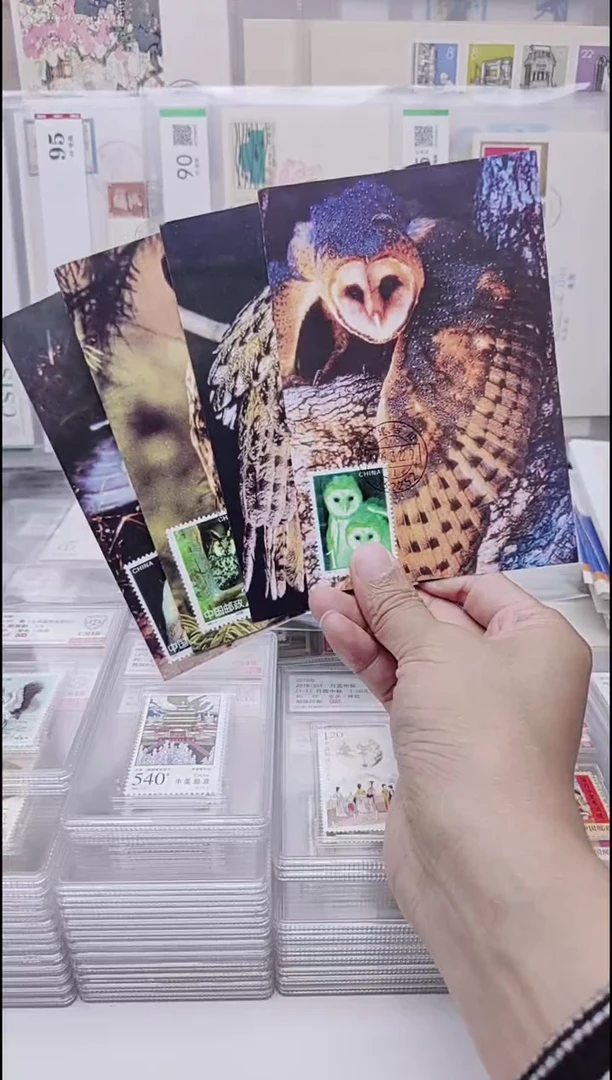 猫头鹰   极限片