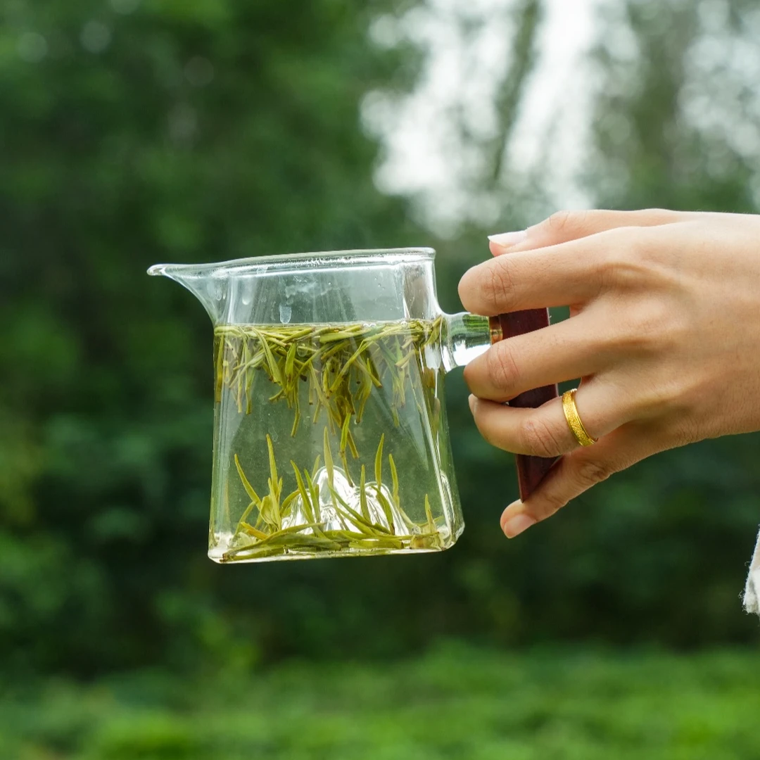 【处理春茶茶针】特级头采单芽/鲜爽回甘高档春茶礼盒/2025日照绿茶