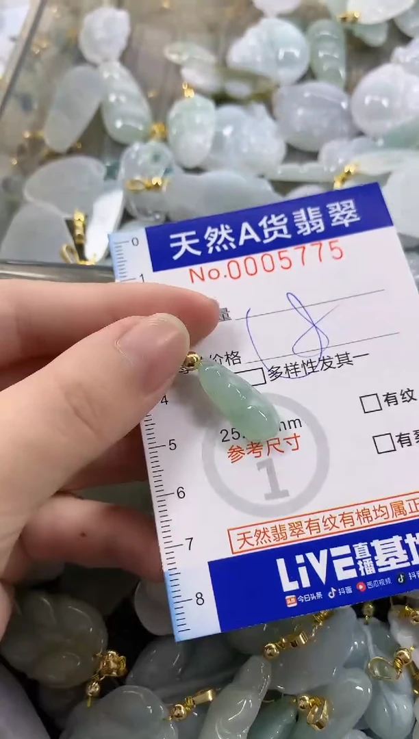 颈饰未镶嵌翡翠天然A货翡翠
