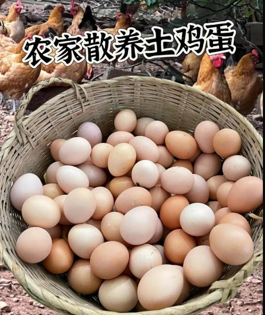 农家散养新鲜土鸡蛋