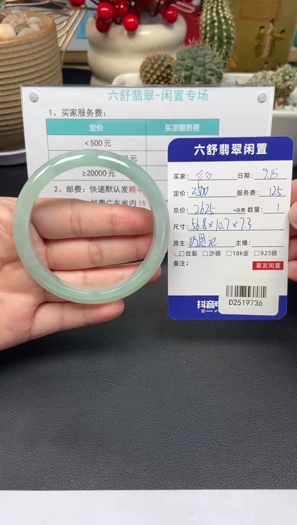 未镶嵌手镯翡翠?****?D2519736