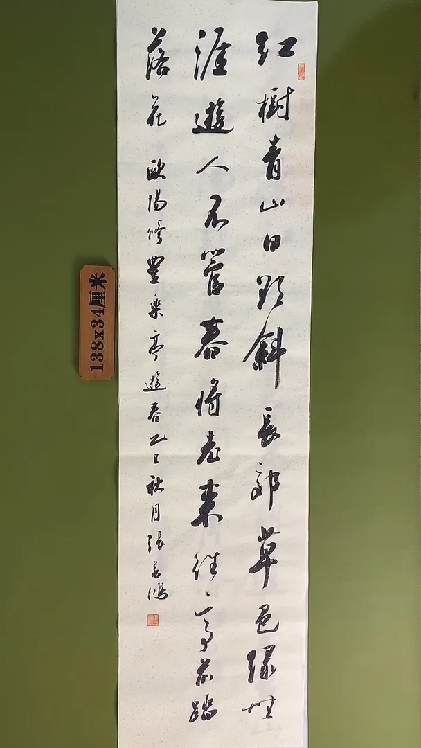 书法书法 张若鸿 尺寸138cm*34cm