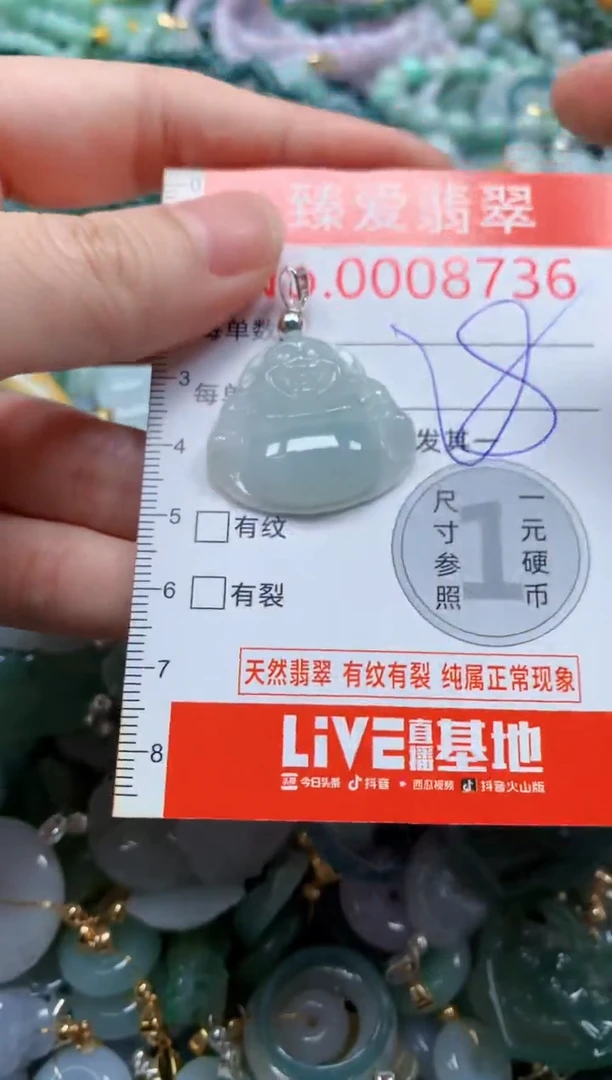 翡翠未镶嵌吊坠(不含链)8736