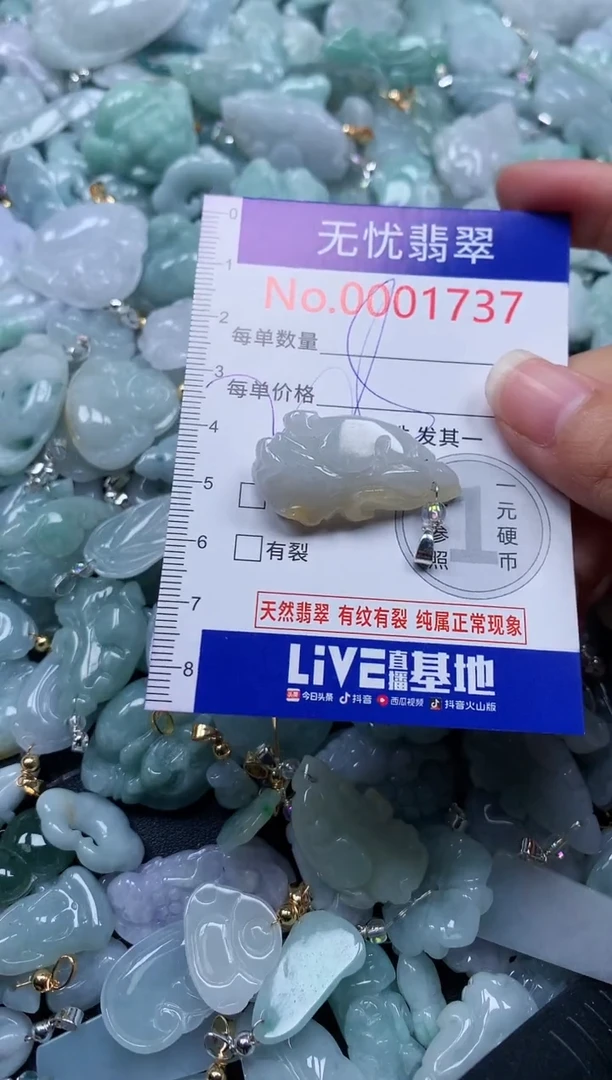 颈饰未镶嵌翡翠1737