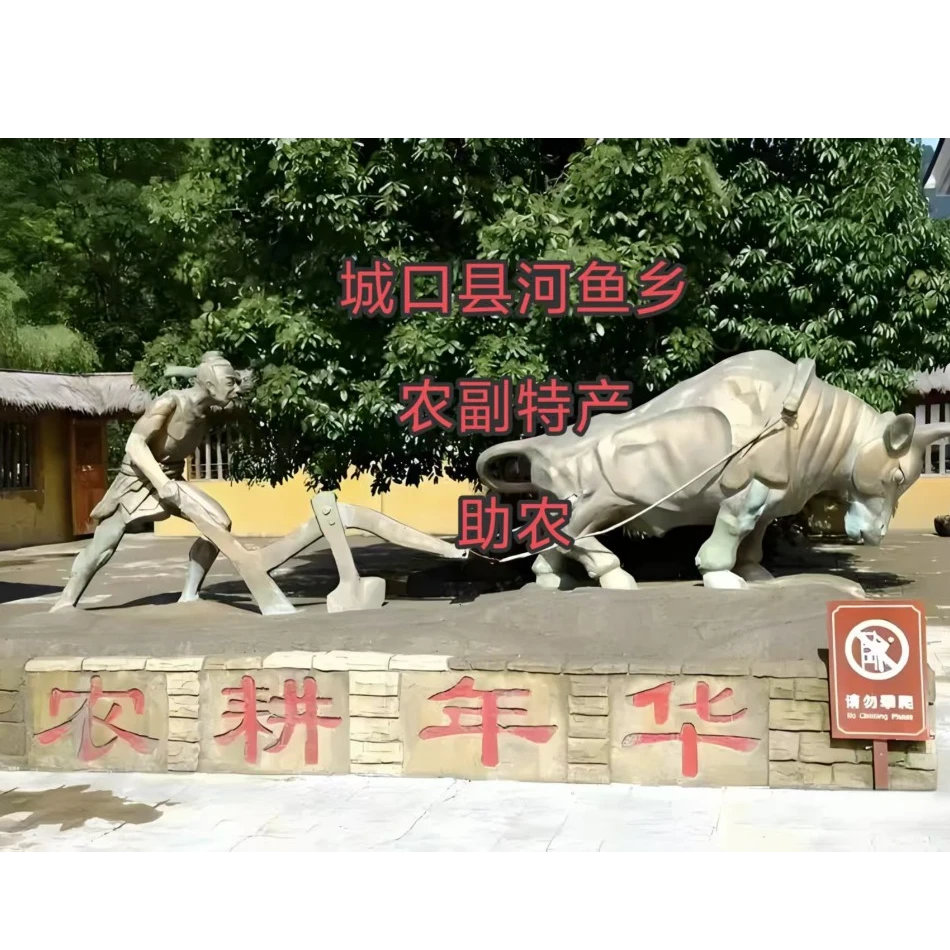 城口高山（干四季豆）《农副产品》