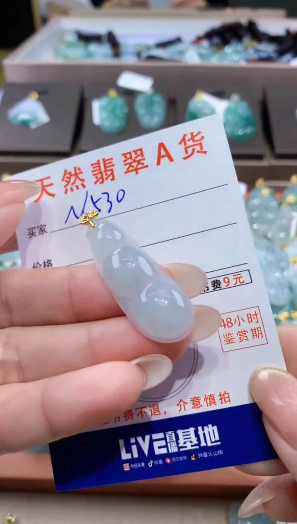 颈饰未镶嵌翡翠天然缅甸翡翠A货挂件