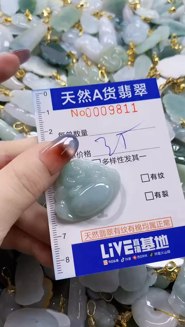 颈饰未镶嵌翡翠天然A货翡翠