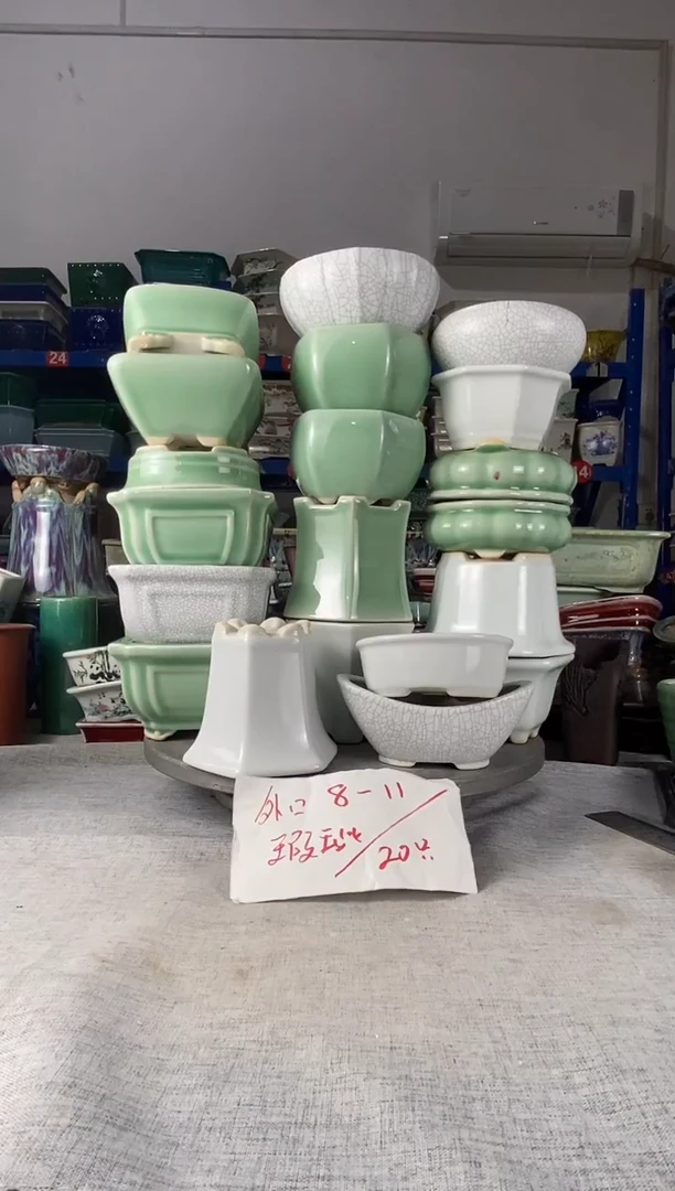 20405瑕疵20只活泼