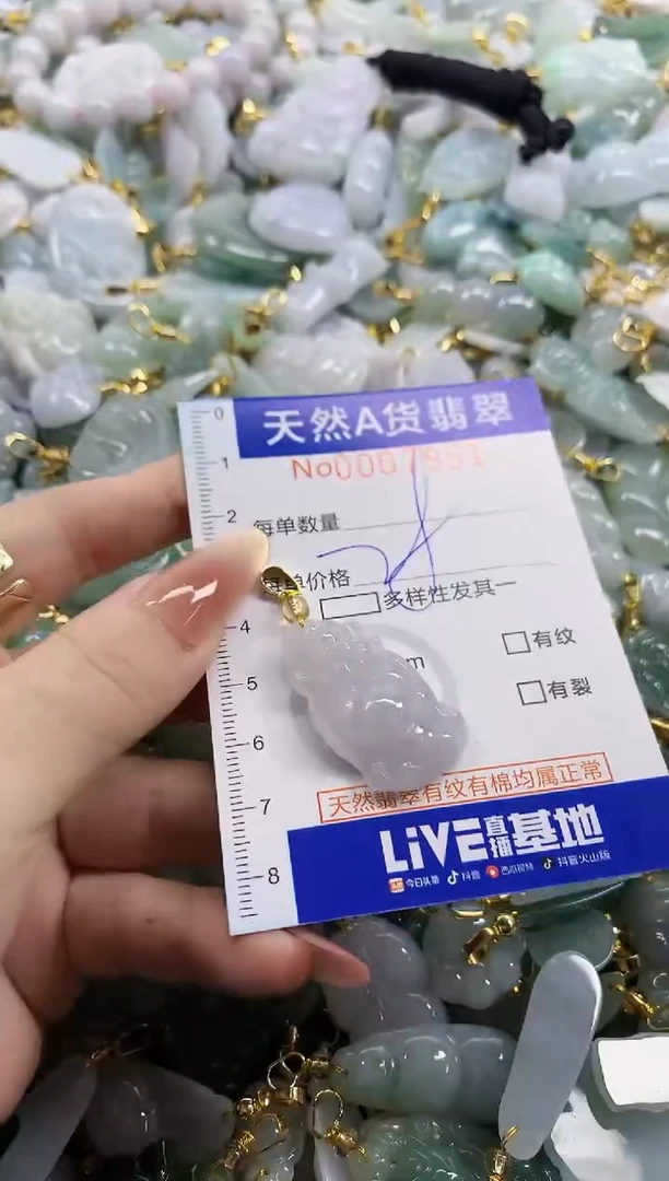 颈饰未镶嵌翡翠天然A货翡翠