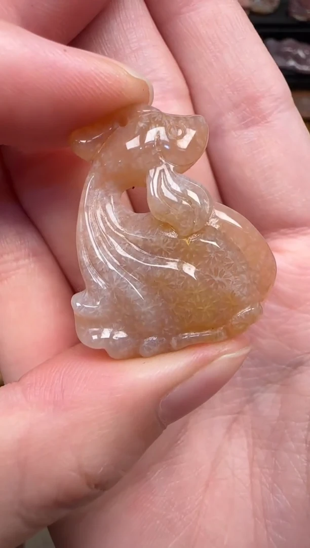 颈饰未镶嵌硅化珊瑚（珊瑚玉）174