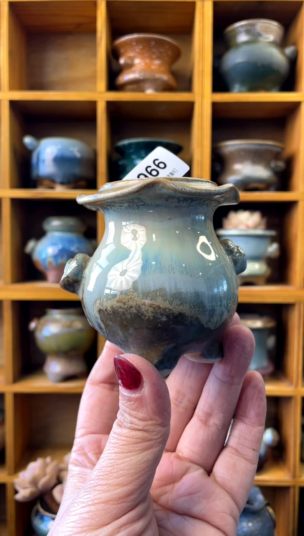 【闪购商品】陶966 内口4【喵喵团圆多肉盆】