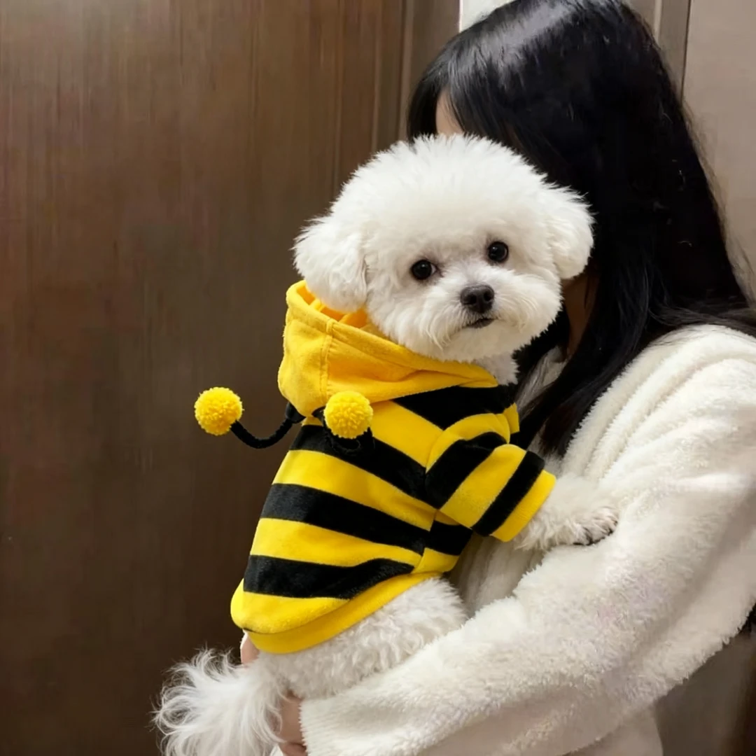 小狗狗衣服新款搞笑蜜蜂变身装比熊泰迪小鹿犬中小型犬猫咪保暖用